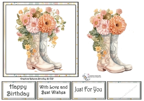 Give it some Welly in Peach (Mix 1) 7