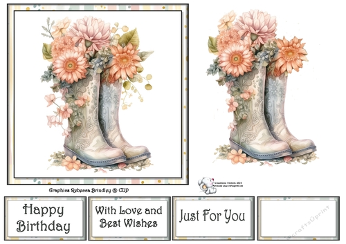 Give it some Welly in Peach (Mix 1) 8
