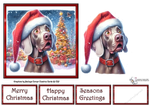 Santa Who (1) 2