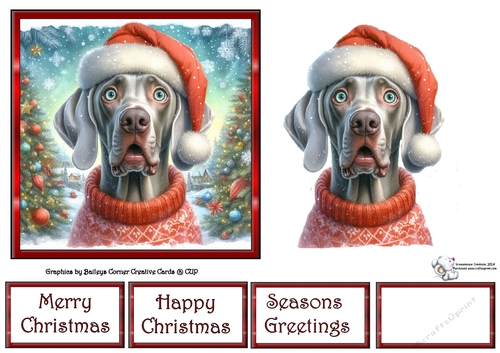 Santa Who (1) 3