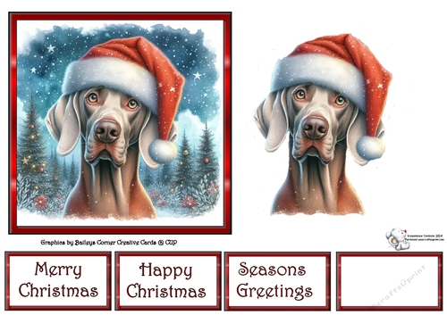 Santa Who (1) 4