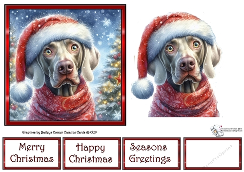 Santa Who (2) 3