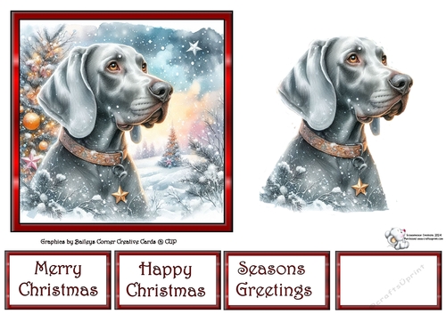 Weimaraner Wishes 3