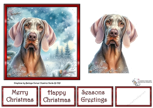 Weimaraner Wishes 4