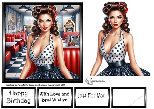 Pin Up Diner Girl  2