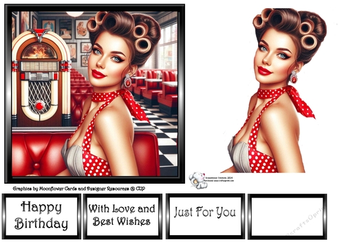 Pin Up Diner Girl  3