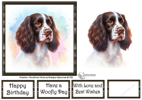 Dog Portraits (4) 2
