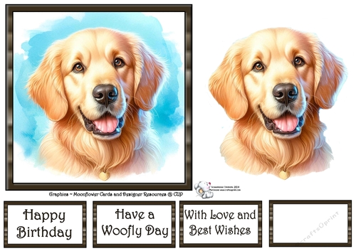 Dog Portraits (4) 3