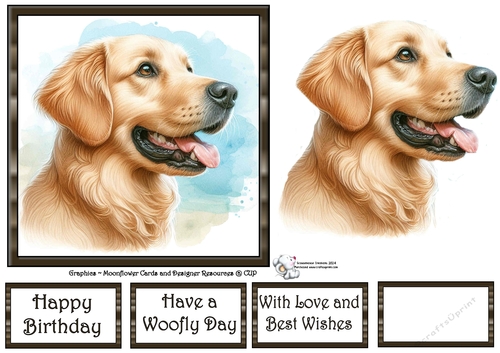 Dog Portraits (4) 4