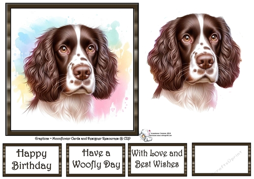 Dog Portraits (4) 5