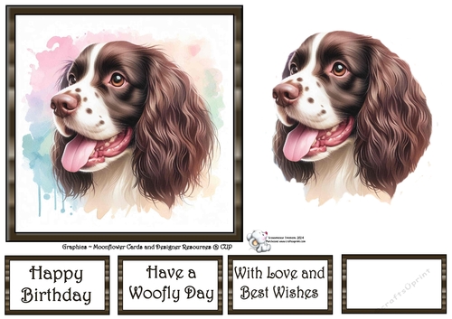 Dog Portraits (4) 8