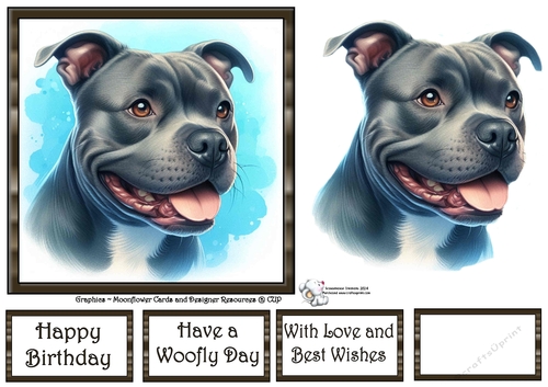 Dog Portraits (4) 9