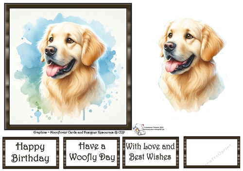 Dog Portraits (4) 10