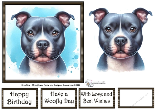 Dog Portraits (4) 11