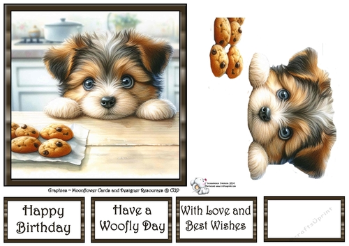 Puppy Cookies 12