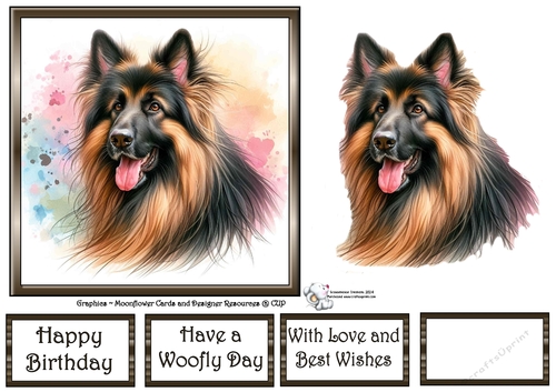 Dog Portraits (6) 2
