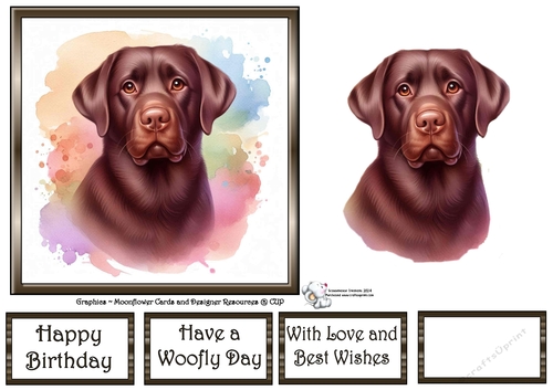 Dog Portraits (6) 4