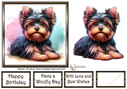 Dog Portraits (6) 6