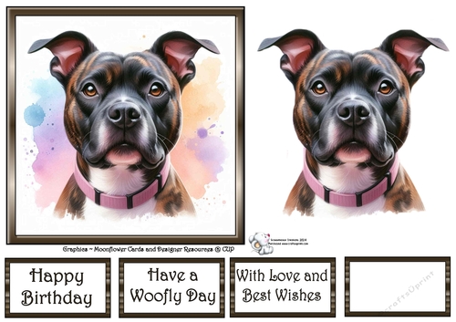 Dog Portraits (6) 7