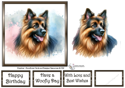 Dog Portraits (6) 8