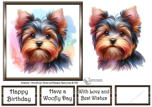 Dog Portraits (6) 9