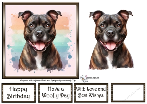 Dog Portraits (6) 10