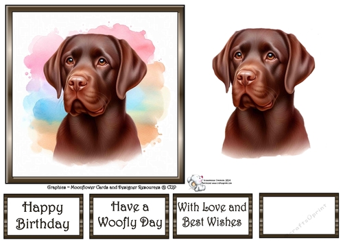 Dog Portraits (6) 11
