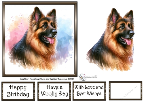 Dog Portraits (6) 12