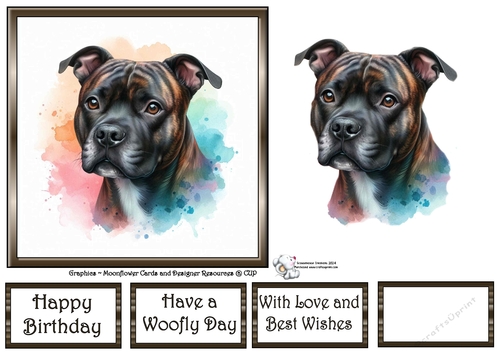 Dog Portraits (6) 13