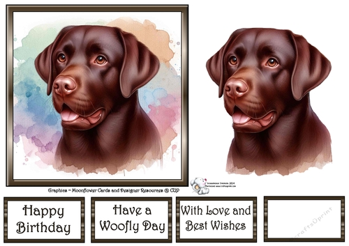 Dog Portraits (6) 14