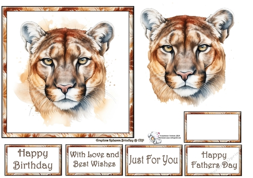 Beautiful Big Cats - Mountain Lion Mix (1) 1