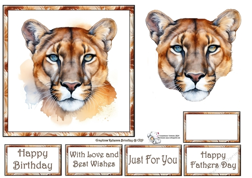 Beautiful Big Cats - Mountain Lion Mix (1) 2