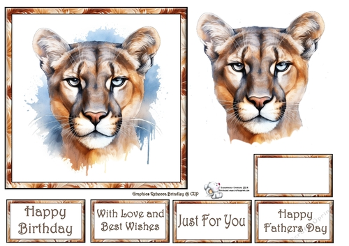 Beautiful Big Cats - Mountain Lion Mix (1) 3