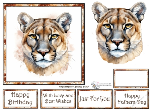 Beautiful Big Cats - Mountain Lion Mix (1) 4