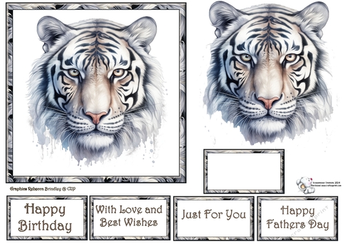 Beautiful Big Cats - Snow Tiger Mix (1) 1