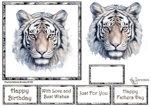 Beautiful Big Cats - Snow Tiger Mix (1) 2