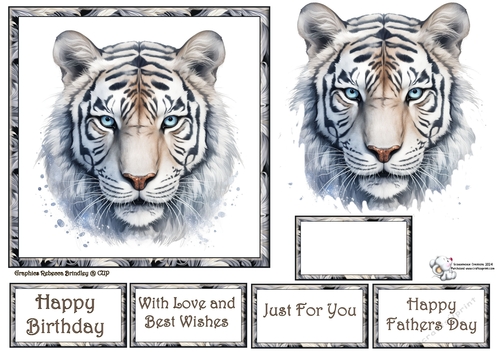 Beautiful Big Cats - Snow Tiger Mix (1) 3
