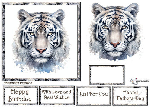 Beautiful Big Cats - Snow Tiger Mix (1) 4