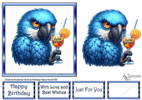 Birthday Parrots 2