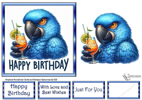 Birthday Parrots 3
