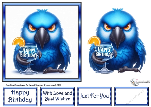 Birthday Parrots 5