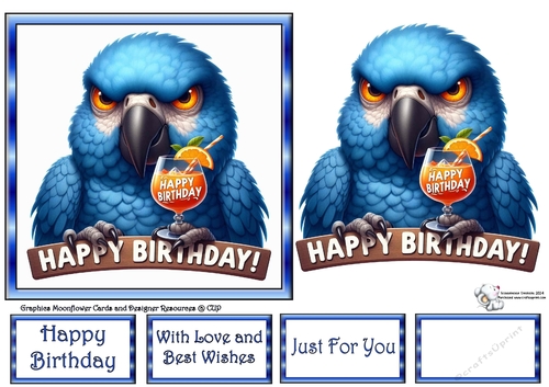Birthday Parrots 6
