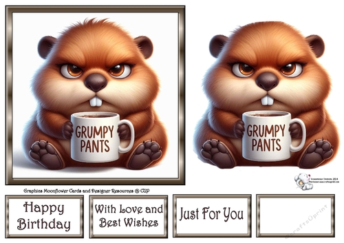 Grumpy Beaver 2