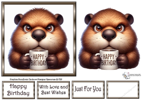 Grumpy Beaver 3