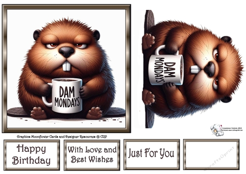 Grumpy Beaver 6