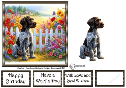 Picket Fence Pups (1) 1