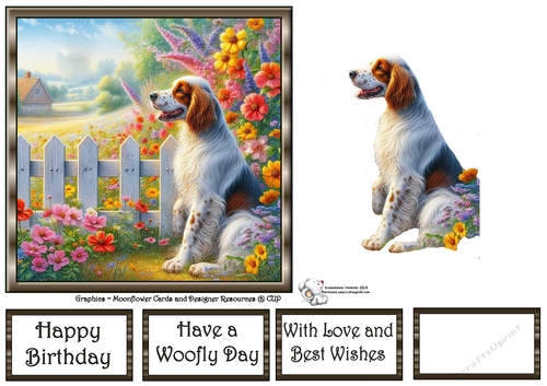 Picket Fence Pups (1) 2