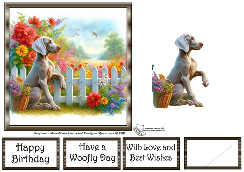 Picket Fence Pups (1) 3