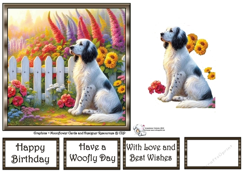 Picket Fence Pups (1) 4