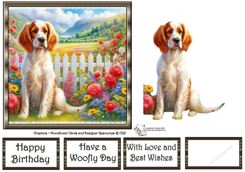 Picket Fence Pups (1) 5